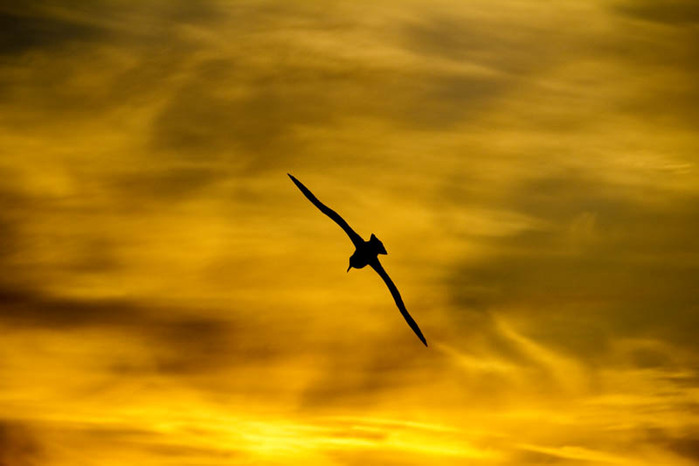 12_mg8003 (700x466, 54Kb)
