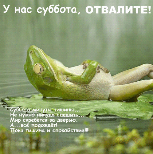 http://img0.liveinternet.ru/images/attach/c/4/78/641/78641052_ppppppp_pppppppp_ppppppp.gif