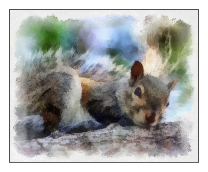Squirrel_02_Aquarell (700x578, 295Kb)