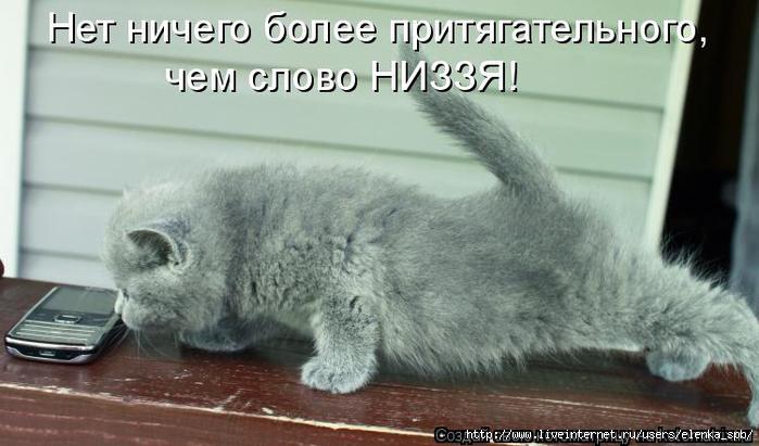 http://img0.liveinternet.ru/images/attach/c/4/78/715/78715784_944931.jpg