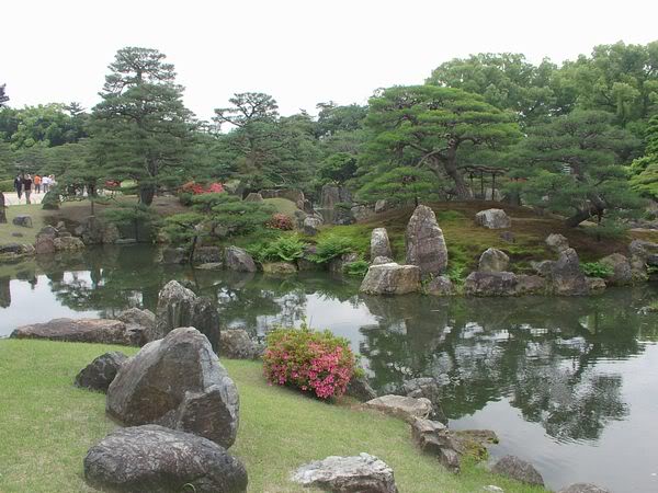 IMG_155Jpn (600x450, 60Kb)