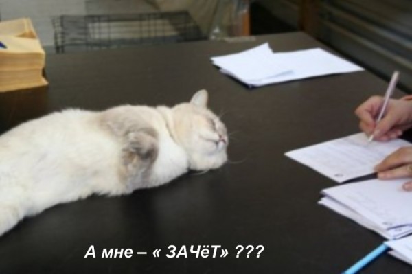 на ошибках учатся лови мои на ошибках учатся лови мои