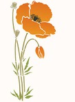  233-giant-poppy1-C7 (350x480, 17Kb)