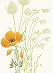  234-giant-poppy2-C7 (350x480, 31Kb)