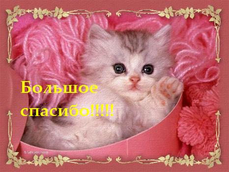1275382521_www.chudetstvo.ru_spasiboi_81 (466x350, 42Kb)