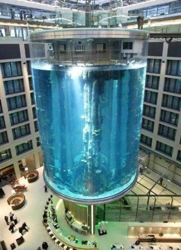 самый большой вертикальный аквариум