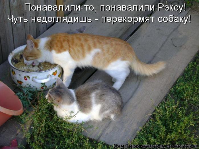 http://img0.liveinternet.ru/images/attach/c/4/79/101/79101326_large_d12.jpg