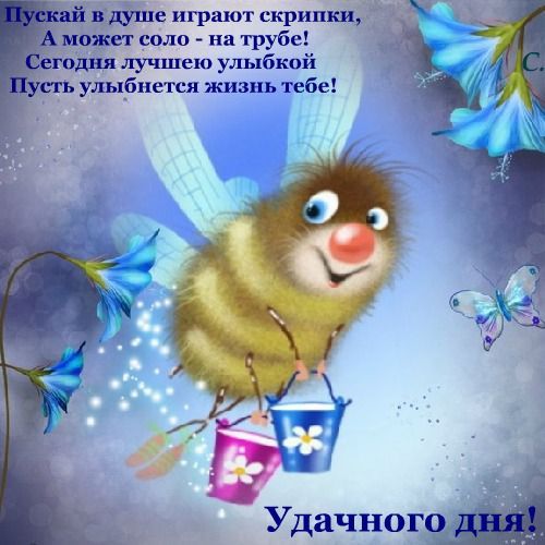 Ролик пожелание хорошего дня Ролик пожелание хорошего дня