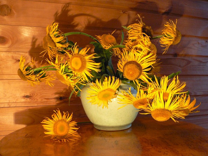 2986984_0_11b39_31999cbb_1XL (700x525, 123Kb)