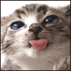 0_29c42_2b4c385c_L (100x100, 24Kb)