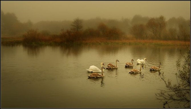 5 (670x384, 32Kb)