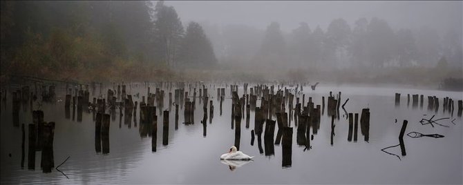 11 (670x268, 25Kb)