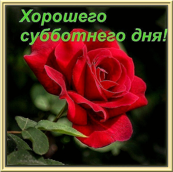 79294368_HOROSHEGO_SUBBOTNEGO_DNYA.jpg