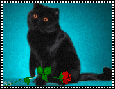 4595909_012 (166x129, 25Kb)