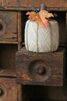 tumblr_lsecoxW9W11r363pgo1_500 (466x700, 62Kb)