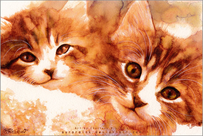 Картины акварелью, акварели с кошками, рисунки кошек акварелью