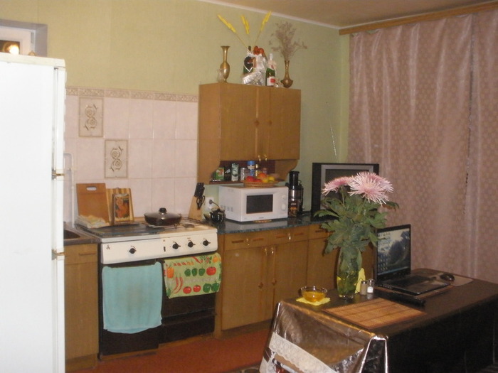 PA310009 (700x525, 85Kb)