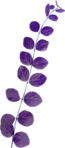  Lilas (7) (307x700, 165Kb)