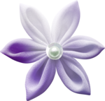  Lilas (32) (700x667, 455Kb)