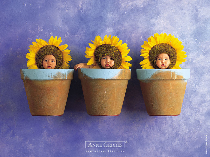 Anne_Geddes_Card_103 (700x525, 149Kb)