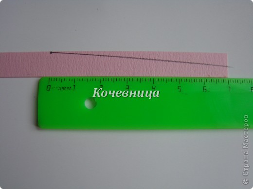 DSC01993 (520x390, 23Kb)