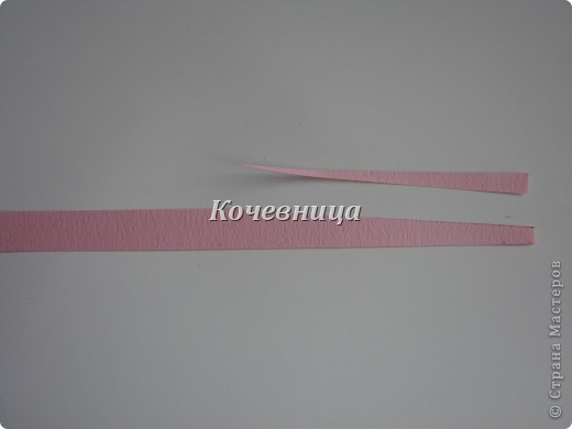 DSC01994 (520x390, 16Kb)