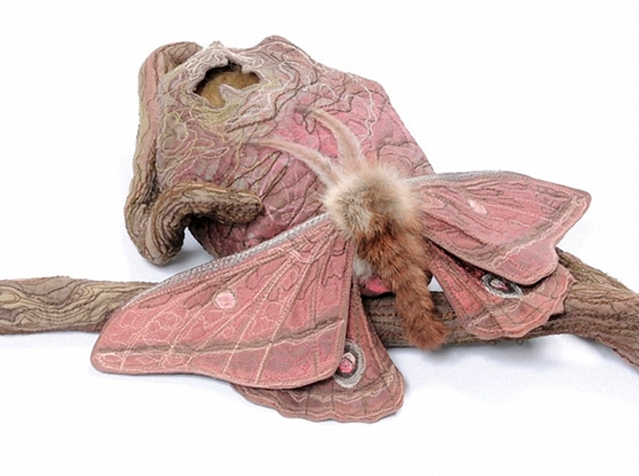 4195696_mein_moth_1_large_web3 (700x522, 233Kb)