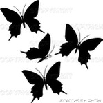 Превью borboletas-~-BWBW0038 (299x300, 15Kb)