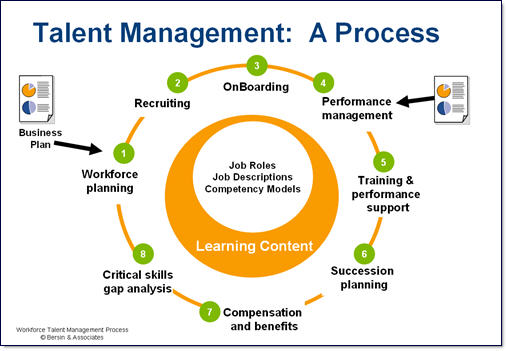 PDF Talent Management Interpretation Systematization Experience