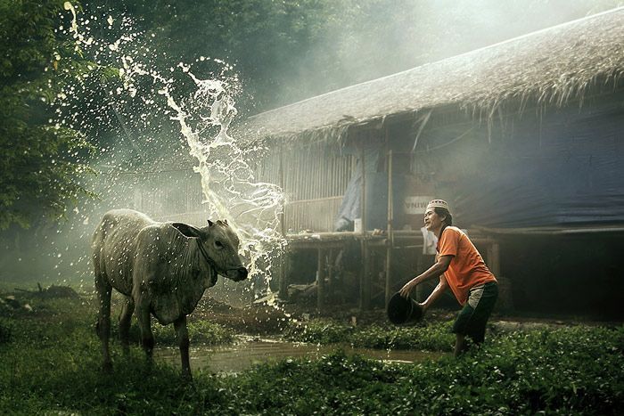 Успокаивающие фотографии Успокаивающие фотографии