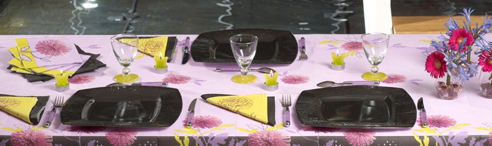 Very-nice-tableware-for-summer-picnic-by-Tifany-Industries-3 (700x208, 53Kb)