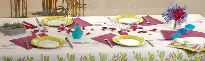 Very-nice-tableware-for-summer-picnic-by-Tifany-Industries-10 (700x208, 55Kb)