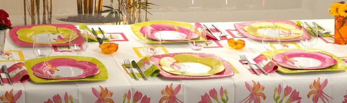 Very-nice-tableware-for-summer-picnic-by-Tifany-Industries-15 (700x208, 56Kb)