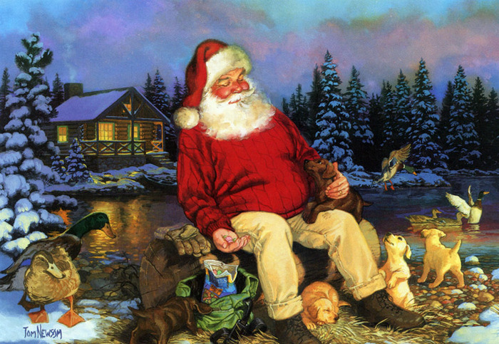 Santa-by-the-Pond (700x483,  183Kb)