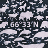17 (100x100, 27Kb)