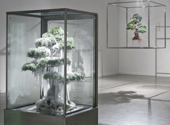 Bonsai-Tree-Sculptures-1 (700x514, 76Kb)