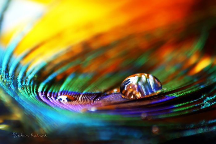Colors_out_of_control_by_Healzo (700x466, 427Kb)