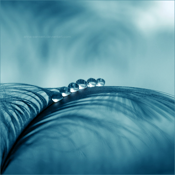 Like_Peas_in_a_Pod_by_anna_earwen (602x602, 216Kb)