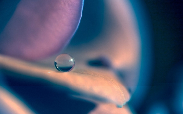 4 (700x436, 137Kb)