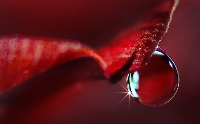 7 (700x436, 146Kb)