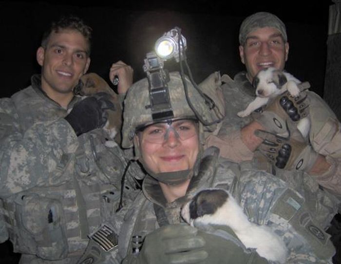 puppy_in_iraq_05 (700x542, 49Kb)