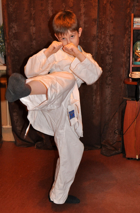 DSC_0287 (459x700, 109Kb)