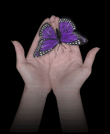80718484_15.gif