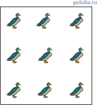 duck1 (342x368, 19Kb)