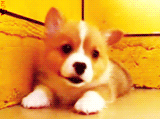 3962831_tumblr_lsq2ipSHpm1qg57tuo4_r1_250 (160x119, 135Kb)