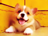 3962831_tumblr_lsq2ipSHpm1qg57tuo7_250 (160x119, 294Kb)