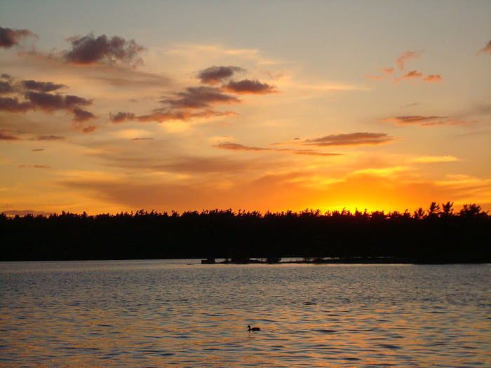 Парк Тысяча островов. (Thousand Islands) 83171