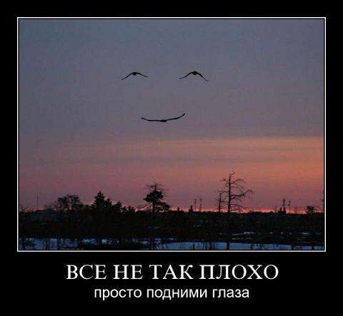 11   (480x443, 17Kb)