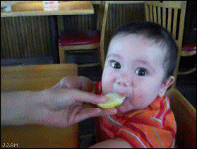 1232547444_baby eats lemon (279x211, 1988Kb)