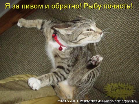 http://img0.liveinternet.ru/images/attach/c/4/80/917/80917568_20110912130839.jpg